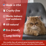 Bodhi Dog Cat No More Scratching! Spray | Cat Deterrent Spray for Indoor & Outdoor Use | Safe Training Cat Scratch Spray with Essential Oils | Cat Scratch Deterrent for Furniture | Made in USA