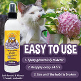 Bodhi Dog 3-in-1 Cat & Kitten Training Aid - Feline Deterrent Spray for Indoor and Outdoor Use - Protect Furniture, Rugs and Plants - Establish Boundaries & Keep Cats Off - Made in USA