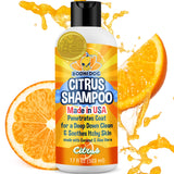 Bodhi Dog Refreshing Orange Citrus Shampoo - Deep Cleaning Coconut & Aloe Formula - Natural Soothing, Moisturizing Pet Wash for Dogs, Cats, Puppies - Tear-Free - Made in USA