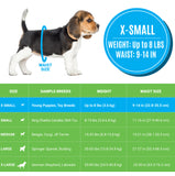 Bodhi Dog Disposable Male Dog Diapers - Super Absorbent, Leak-Proof Pee Wraps - Adjustable Fit, Comfortable Design, Advanced Moisture Control, and Wetness Indicator - Extra Small to Extra Large (20 Count)