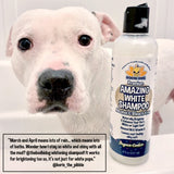 Bodhi Dog Amazing White Shampoo | Whitening Shampoo for Dogs | White Dog Shampoo | Brightens White & Light Coats | Natural Ingredients | Professional Quality | Made in USA