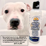 Bodhi Dog Amazing White Shampoo for Dogs - Brightens White & Light Coats - Plant-Based - Made with Natural Ingredients -Safe & Effective for All Breeds - Gentle & Cruelty-Free - Made in USA