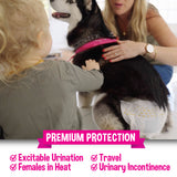 Bodhi Dog Disposable Female Dog Diapers - Super Absorbent Dog Diapers for Female Heat Cycle - Adjustable Fit Pee Wraps for Potty Training, Moisture Control & Wetness Indicator - Extra Small to Extra Large (20 Count)