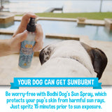 Bodhi Dog Sunscreen Moisturizing Pet Sun Spray - Safe for Dogs, Cats & Horses - Natural Protection for Skin, Coat, Nose, Ears - Hydrating & Non-Toxic - Made in USA