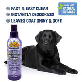 Bodhi Dog Waterless Shampoo - Natural Dry Shampoo for Dogs & Cats - Neutralizes Pet Odor - No Rinse Required - Made of Natural Extracts - Safe for Sensitive Skin - Made in USA - Lavender