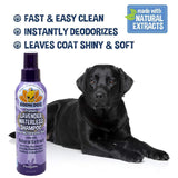 Bodhi Dog Waterless Shampoo | Natural Dry Shampoo for Dogs or Cats | Neutralizes Pet Odor | No Rinse Required | Made with Natural Extracts | Vet Approved | Made in USA (Lavender)