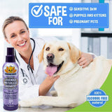 Bodhi Dog Waterless Shampoo - Natural Dry Shampoo for Dogs & Cats - Neutralizes Pet Odor - No Rinse Required - Made of Natural Extracts - Safe for Sensitive Skin - Made in USA - Lavender