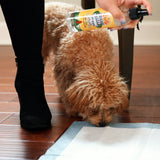 Bodhi Dog Potty Training Spray - Puppy & Dog Training Aid for Indoor & Outdoor Attractant Spray Use - Encourages Proper Dog Pee Here Habits - Safe for Pets & Home - Made in The USA