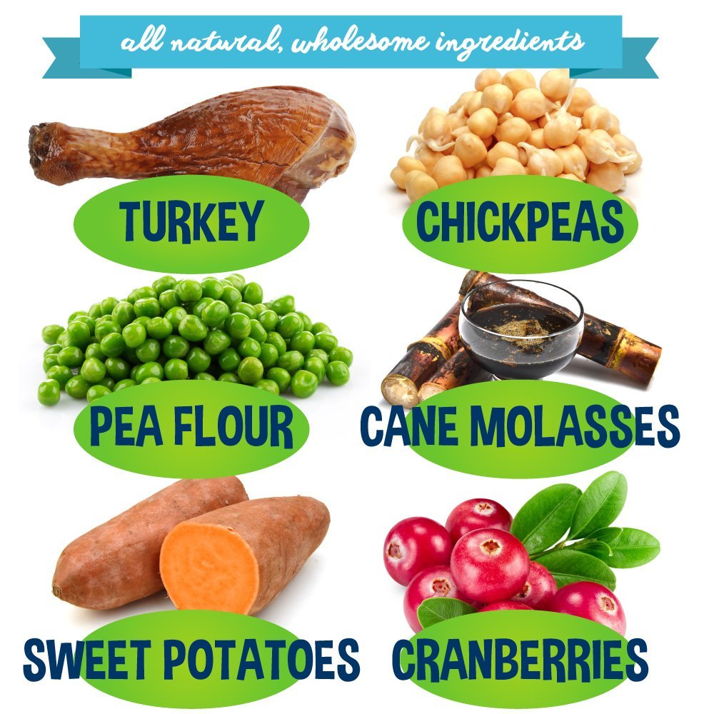 Healthy Dog Jerky Treats Turkey Bodhi Dog