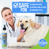 Bodhi Dog Waterless Shampoo for Dogs & Cats - Natural Dry Shampoo, Neutralizes Odor, No Rinse Needed, Safe for All Breeds - Made in USA - Lemongrass Scent