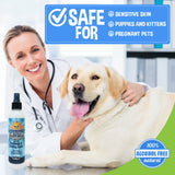 Bodhi Dog Itch Relief Spray | Natural Soothing Relief for Dry, Itchy, Bitten or Allergy Damaged Skin Treatment | Anti Itch Spray for Dogs & Cats | Made in USA (Oatmeal)