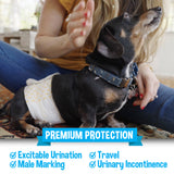 Bodhi Dog Disposable Male Dog Diapers - Super Absorbent, Leak-Proof Pee Wraps - Adjustable Fit, Comfortable Design, Advanced Moisture Control, and Wetness Indicator - Extra Small to Extra Large (20 Count)