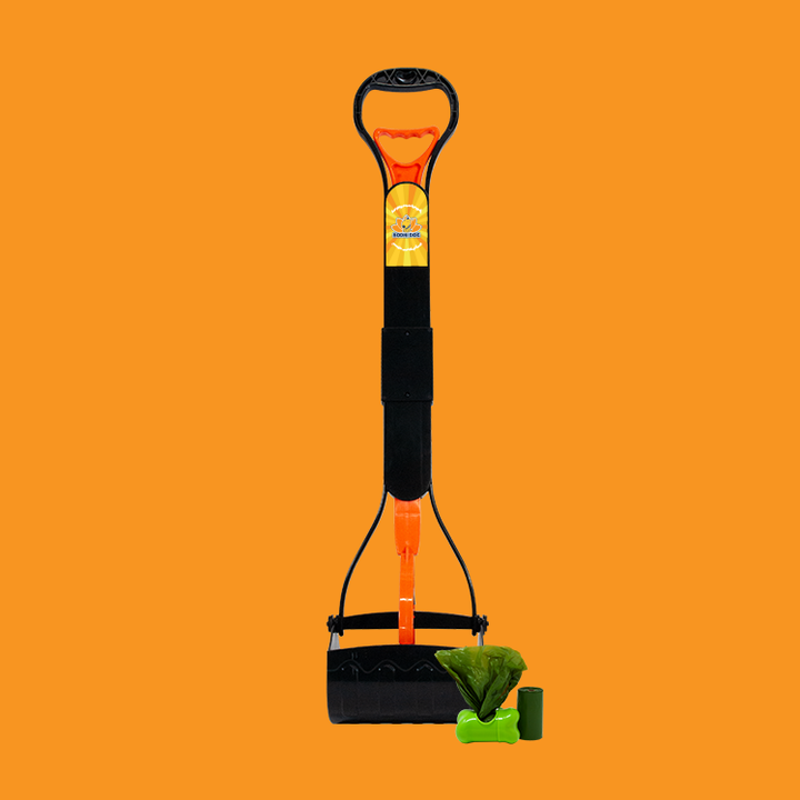 Bodhi Dog Pet Products by a Family Owned Small Business