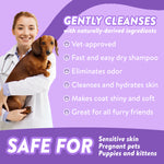 Bodhi Dog Waterless Shampoo - Natural Dry Shampoo for Dogs & Cats - Neutralizes Pet Odor - No Rinse Required - Made of Natural Extracts - Safe for Sensitive Skin - Made in USA - Lavender