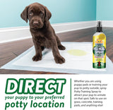 Bodhi Dog Puppy Potty Training Spray System - Teaches Where to Go Potty & Where Not to - Complete Puppy Housebreaking System (Bundle)