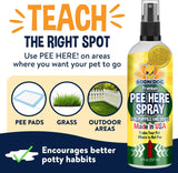 Bodhi Dog Potty Training Complete System - Not Here + Pee Here Sprays Bundle - Stops Marking & Teaches The Right Spot (Bundle)
