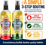 Bodhi Dog Potty Training Complete System - Not Here + Pee Here Sprays Bundle - Stops Marking & Teaches The Right Spot (Bundle)