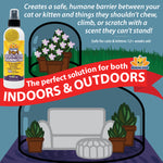 Bodhi Dog 3-in-1 Cat & Kitten Training Aid - Feline Deterrent Spray for Indoor and Outdoor Use - Protect Furniture, Rugs and Plants - Establish Boundaries & Keep Cats Off - Made in USA