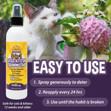 Bodhi Dog 3-in-1 Cat & Kitten Training Aid | Cat Deterrent Spray for Indoor and Outdoor Use | Cat Repellent Spray for Furniture | Establish Boundaries & Keep Cat Off | Made in The USA