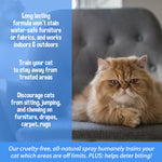 Bodhi Dog 3-in-1 Cat & Kitten Training Aid - Feline Deterrent Spray for Indoor and Outdoor Use - Protect Furniture, Rugs and Plants - Establish Boundaries & Keep Cats Off - Made in USA
