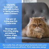 Bodhi Dog 3-in-1 Cat & Kitten Training Aid - Feline Deterrent Spray for Indoor and Outdoor Use - Protect Furniture, Rugs and Plants - Establish Boundaries & Keep Cats Off - Made in USA
