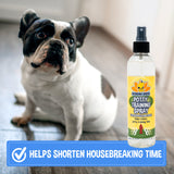 Bodhi Dog Not Here! Spray & Potty Training Spray - Dog Training Corrector for Indoor/Outdoor Use - Stops Urination & Marking - Housebreaking Solution Bundle for Dogs & Puppies (8 Fl Oz)