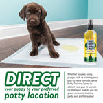 Bodhi Dog Not Here! Spray & Potty Training Spray - Dog Training Corrector for Indoor/Outdoor Use - Stops Urination & Marking - Housebreaking Solution Bundle for Dogs & Puppies (8 Fl Oz)