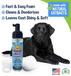 Bodhi Dog Waterless Foaming Shampoo - Dry Shampoo for Bathless Cleaning, No Rinse Required - Natural, Gentle Cleaner for Sensitive Skin - Made in USA (Oatmeal)