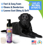 Bodhi Dog Waterless Foaming Shampoo - Dry Shampoo for Bathless Cleaning, No Rinse Required - Natural, Gentle Cleaner for Sensitive Skin - Made in USA (Lavender)