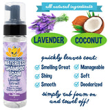 Bodhi Dog Waterless Foaming Shampoo - Dry Shampoo for Bathless Cleaning, No Rinse Required - Natural, Gentle Cleaner for Sensitive Skin - Made in USA (Lavender)