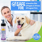 Bodhi Dog Waterless Foaming Shampoo - Dry Shampoo for Bathless Cleaning, No Rinse Required - Natural, Gentle Cleaner for Sensitive Skin - Made in USA (Lavender)