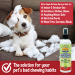 Bodhi Dog Bitter Apple No Chew Spray - Natural Training Aid for Dogs & Puppies - Discourages Pet from Chewing and Biting on Furniture, Shoes, Plants & More - Safe, Humane - Made in USA