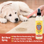 Bodhi Dog Not Here! Spray - Trains Your Pet Where Not to Pee Indoors or Outdoors - Anti Marking Deterrent for Furniture, Carpet & Floor - Training Corrector for Puppies & Dogs - Made in USA