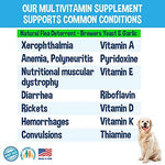 Pet Multivitamin / Garlic-Free Multivitamin Powder