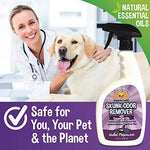 Bodhi Dog Pet Deskunk Spray Odor Eliminator | Skunk Smell Remover Eliminates Skunked Smells Using Essential Oils on Dogs, Cats, Furniture, Carpet, Clothing and More | Made in USA