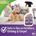 Bodhi Dog Pet Deskunk Spray Odor Eliminator | Skunk Smell Remover Eliminates Skunked Smells Using Essential Oils on Dogs, Cats, Furniture, Carpet, Clothing and More | Made in USA