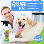 Bodhi Dog Bitter Lemon Spray | Anti Chew Spray for Dogs and Cats | Kitten & Puppy Training Anti Chew Spray | 100% Non Toxic | Made in USA