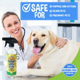 Bodhi Dog Bitter Lemon Spray - Anti-Chew Spray for Dogs, Cats, Puppies, & Kittens- Training Aid for Chewing - Safe & Non Toxic - Ideal for Pet Behavioral Training - Made in USA