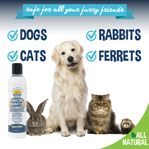Best whitening shampoo for cats top