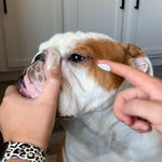 Wrinkle Cleaner & Protector