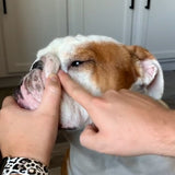 Wrinkle Cleaner & Protector